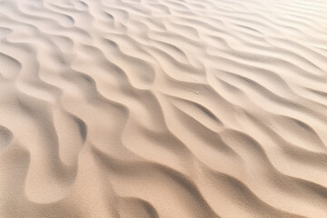 Fototapeta premium A very beautiful beach with light sand and a paradisiacal beach sea