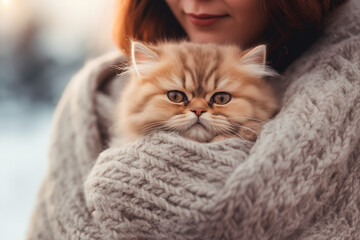 Woman holds and hugs popular Persian playful kitten cat breed