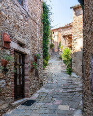 The beautiful village of Sassetta on a sunny summer day. Province of Livorno, Tuscany, Italy. 