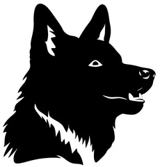 Akita vector illustration 