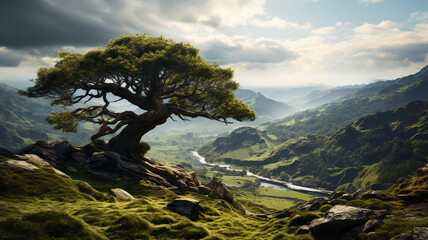 an old and knotted tree on a grass covered hillside