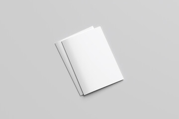 Brochure Trifold Blank    
