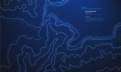 Fotobehang Topographic map blue technology background. Big data elevation map with contour lines. © RDVector