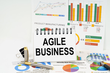 On the table are reports with graphs and a notepad with the inscription - Agile Business