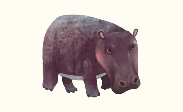 Hippopotamus, Animal wildlife watercolor vector illustration.
