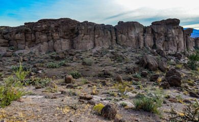 Fototapeta na wymiar Desert landscape with cacti, Mountain erosion formations of red mountain sandstones