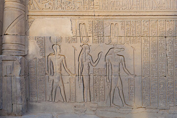 Egyptian hieroglyphs at the Kom Ombo Temple, Egypt.