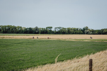 Familie fährt während einer Radreise über die Weite der Felder in Zeeland (Niederlande)