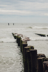 Möwen auf den Buhnen am Strand von Domburg (Zeeland, Niederlande) bei stürmischem Wetter