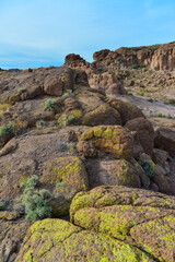 Yellow lichens on stones in a mountain desert in Arizona