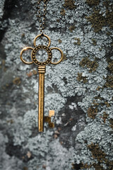 Fototapeta na wymiar Magic vintage key on a background of a stone surface covered with lichen, vertical photo, close-up.