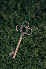 Magic bronze key on green moss background, vertical photo, close-up, top view.