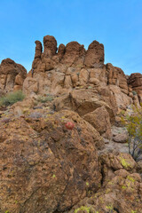 California barrel cactus, compass barrel (Ferocactus cylindraceus), cacti grow on stones in the desert. Arizona Cacti