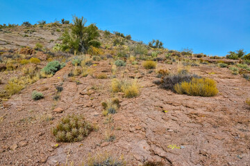 Mountain erosion formations of red mountain sandstones, Desert landscape with cacti, Arizona