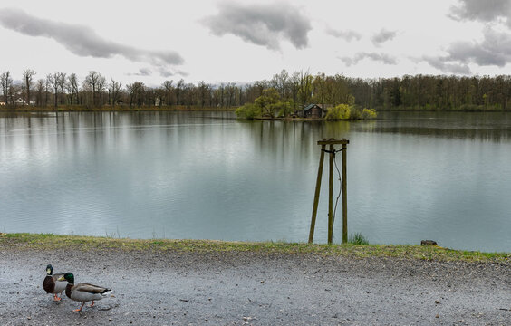 Lago Svět , nei pressi di Trebon, Cechia, Boemia
