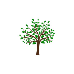 Obraz premium Green tree of live icon on white background