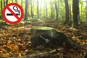 No smoking sign outdoor in a forest