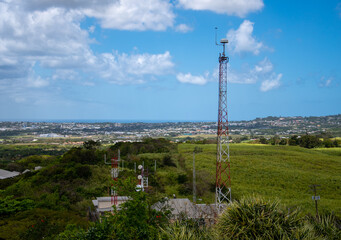 A view across the fields of Barbados - 701417149