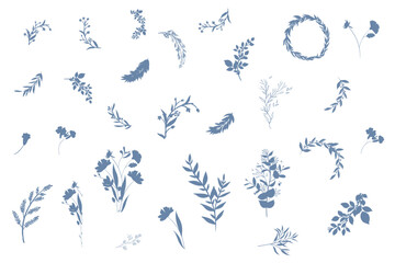 Thin hand drawn elegant silhouettes of flowers, branches and leaves. Botanical elements. Vector illustration