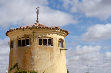 Palomar castellano leones en la ciudad de los libros