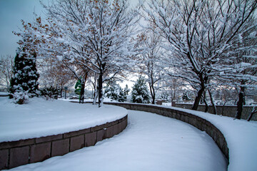 snowy scenery