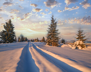 Winter snowy hills, tracks on rural dirt road and trees in last evening sunset sun light. Small and...
