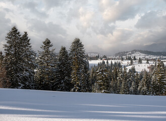 Winter remote alpine mountain village outskirts, countryside hills, groves and farmlands.