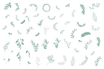 Hand drawn botanical silhouette of branches, flowers and leaves. Vector illustration