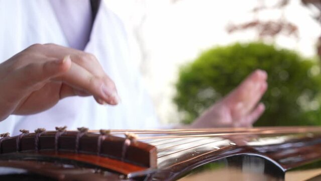 playing the guzheng