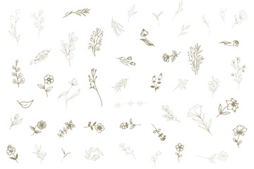 Hand drawn minimal line art floral elements style. Vector illustration of greenery for decoration, wild and garden plants, branches, leaves. logo, tattoo, wedding invitation, save the date card