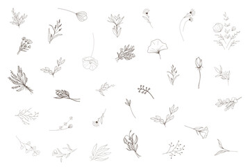 Hand drawn minimal line art floral elements style. Vector illustration of greenery for decoration, wild and garden plants, branches, leaves. logo, tattoo, wedding invitation, save the date card