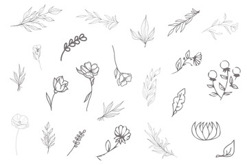 Hand drawn minimal line art floral elements style. Vector illustration of greenery for decoration, wild and garden plants, branches, leaves. logo, tattoo, wedding invitation, save the date card