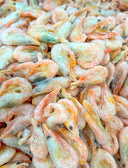 Shrimp on the counter in the market as a background