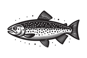 Trout fish.  Beautiful vintage engraving icon, logo. Retro style. Vector illustration. 