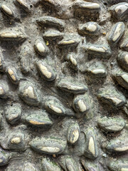 sea stone with concrete floor texture