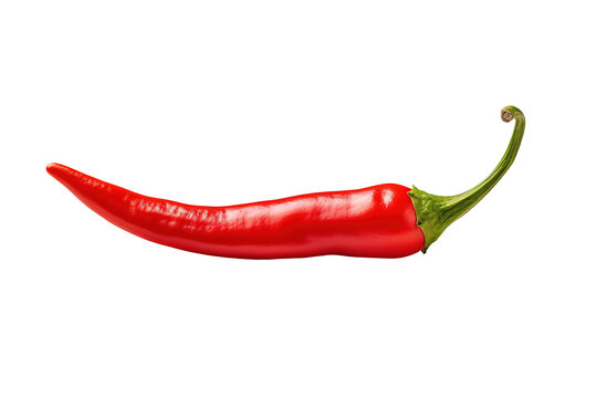 red chili on transparent background, Ai Generated