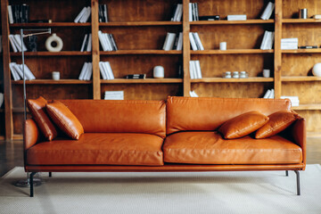 brown sofa on the background of a bookcase