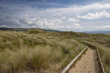Obraz premium Ynyslas Sand Dunes are part of the Dyfi National Nature Reserve