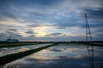 power lines at sunset