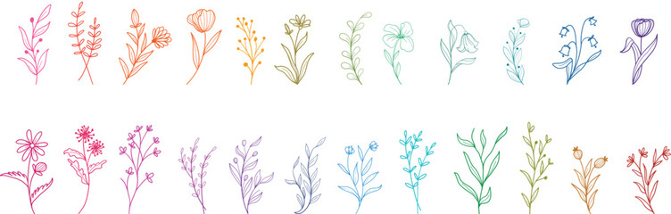 Minimal feminine botanical floral branch in silhouette style. Hand drawn wedding herb, minimalistic flowers with elegant leaves. Botanical rustic trendy greenery vector