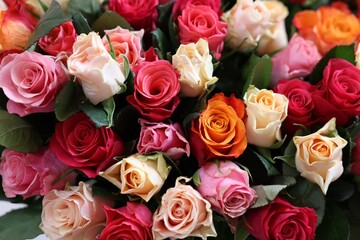 Bouquet of beautiful roses as background, closeup