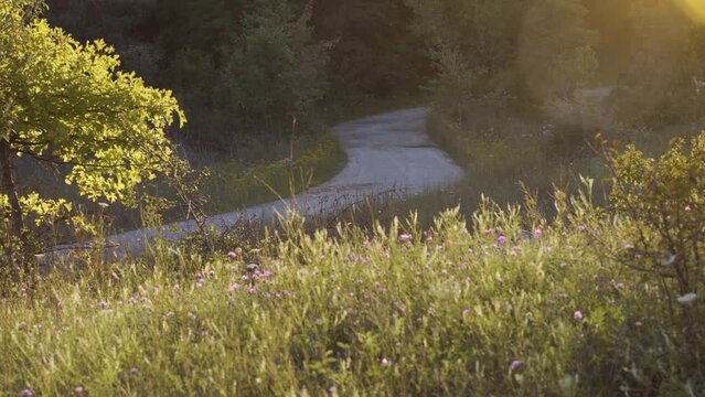 A winding dirt road curves through sun-soaked hills
