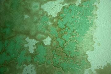 Fototapeta premium Wet stains with traces of mold on green plaster. Texture.