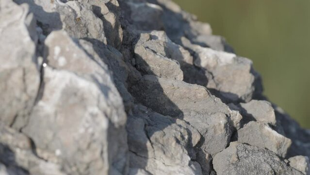 Extreme close up rack focus on uneven rock surface