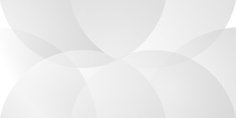 White and gray color abstract background with curve overlapping design. Vector illustration