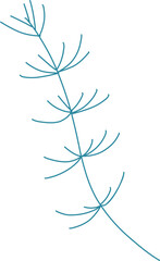 Naklejka premium Green algae, vector illustration for design, invitation