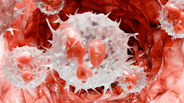 Neutrophiles type Leukocyte cell, phagocytosis, white blood cells in vein, Neutrophil, medical human health, destruction of the virus and microb infections, granulocytes, polymorphonuclears, 3d render