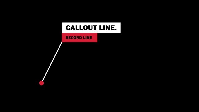 Double Lined Clean Professional Call Out Title Text