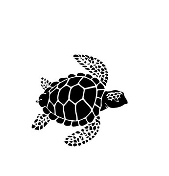 Sea Turtle svg bundle , Sea Turtle Svg, Sea Turtle Png, Tortoise Svg Png, Sea Turtle Clipart, Sea Turtle Silhouette, sea turtle cut file