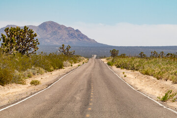 Lonely road between Arizona and Nevada, USA